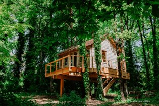 Cabane dans les arbres Indre-et-Loire