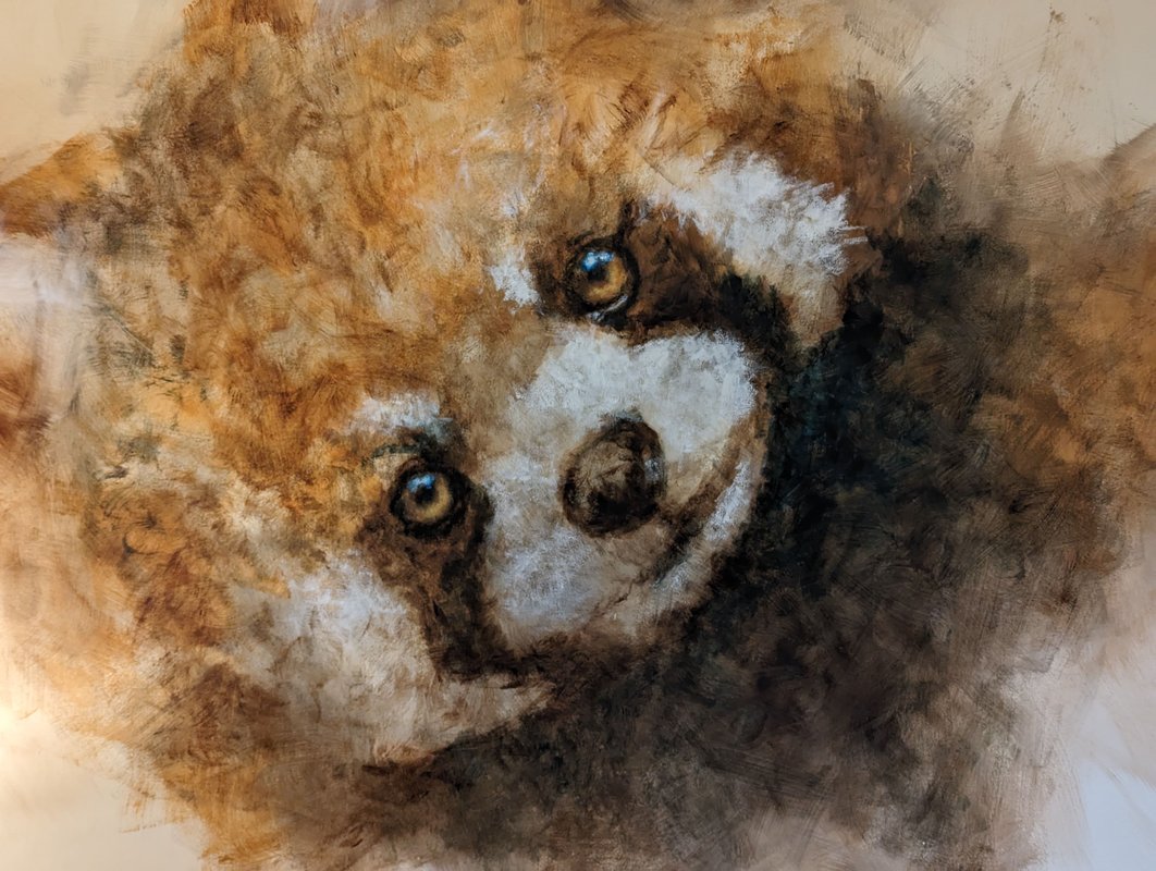 Chambre "Rêve de Panda roux" à Parentignat (3)