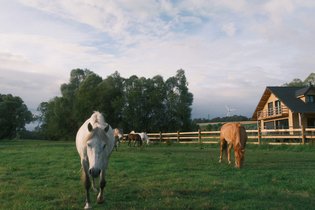 Maison sur pilotis au cœur de la nature