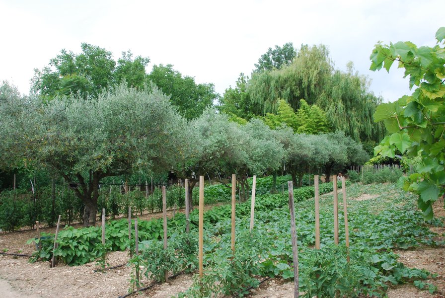 Domaine AbracadaRoom : Nid'Oiselet - Image 30