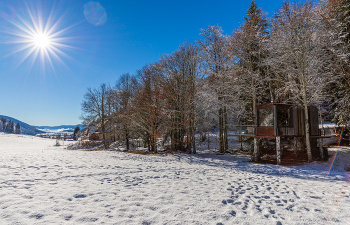 Dôme panoramique, une immersion totale dans la nature : Dôme en Rhône-Alpes (Auvergne-Rhône-Alpes)