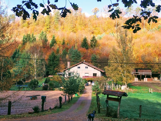 Domaine AbracadaRoom : L'échappée verte - Image 3