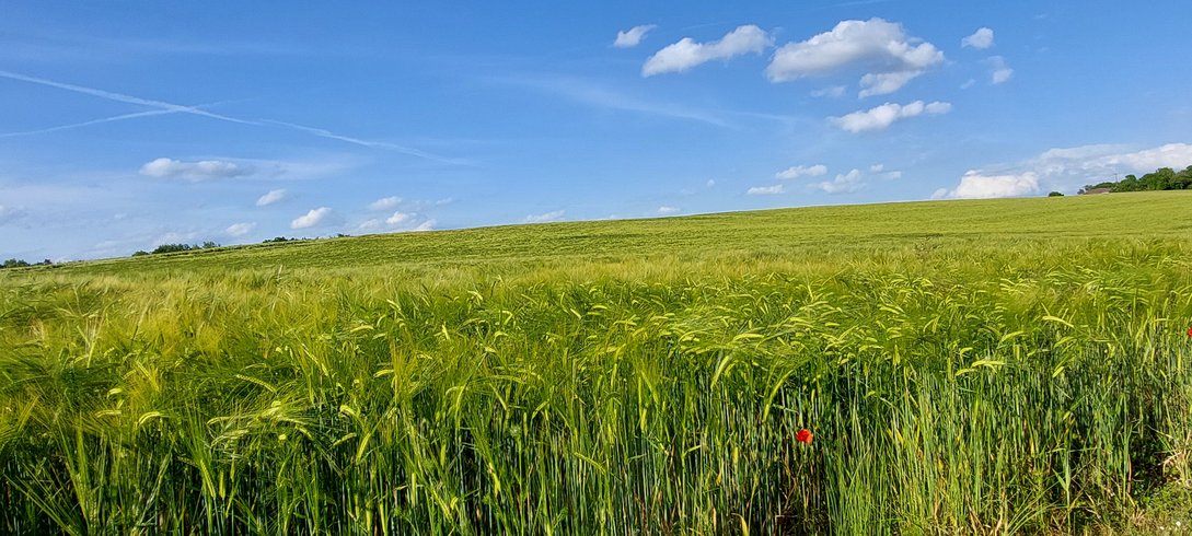 Domaine AbracadaRoom : Les Cottages de Sarrant - Image 4