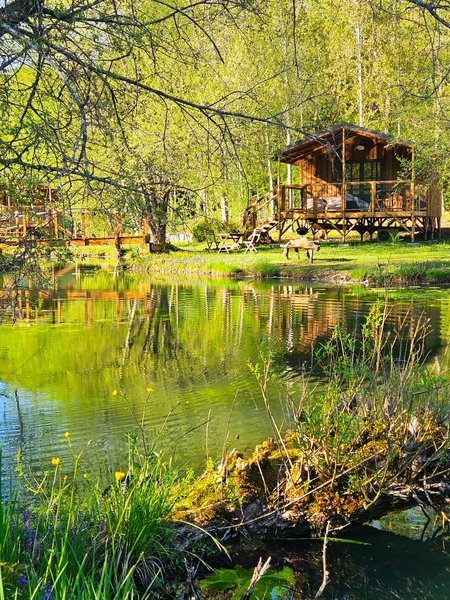 Hébergement AbracadaRoom : Lodge sur pilotis, étang privé, nature et biodiversité à Sarlat - Image 16