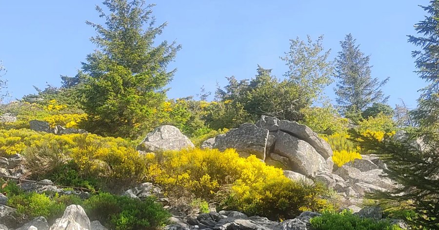 Hébergement AbracadaRoom : La Bulle de Pierre avec Spa privatif - Ecolodge au milieu des volcans - Image 18