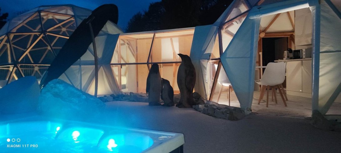 Hébergement AbracadaRoom : L'Igloo & Spa - Image 2