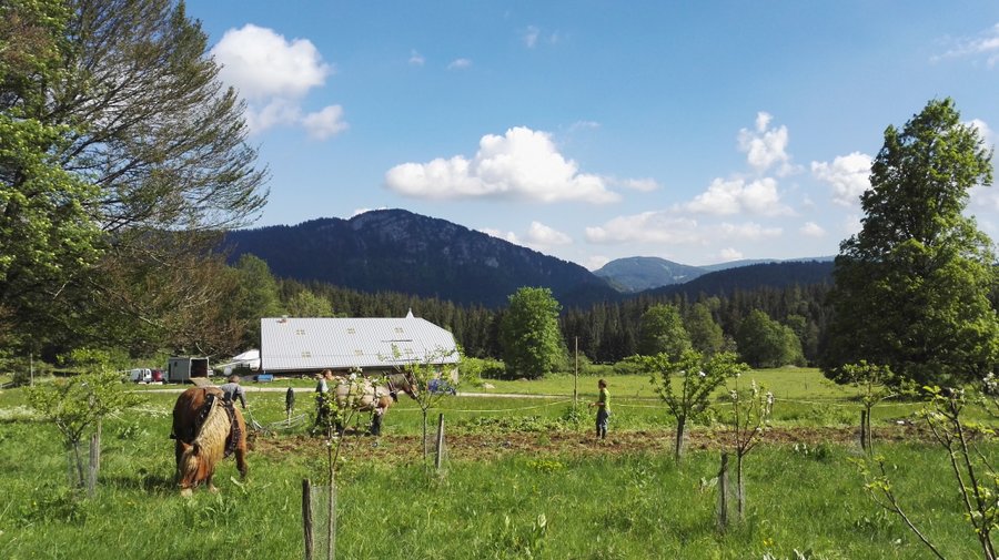 Hébergement AbracadaRoom : Yourte Bosquet - Image 7