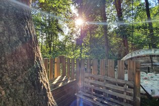 Bulle Seine-et-Marne