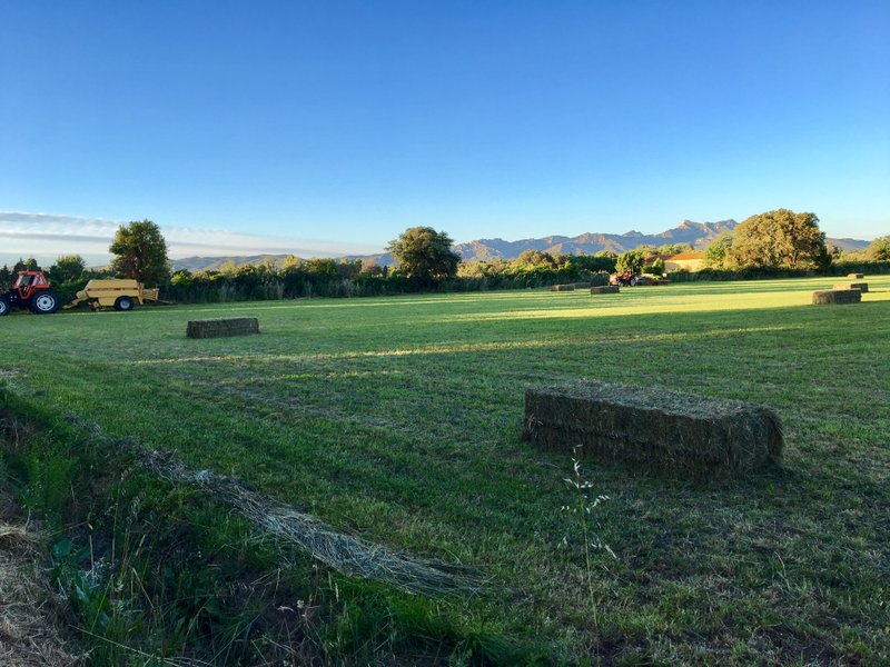 Domaine AbracadaRoom : Mon Lodge en Provence - Image 9