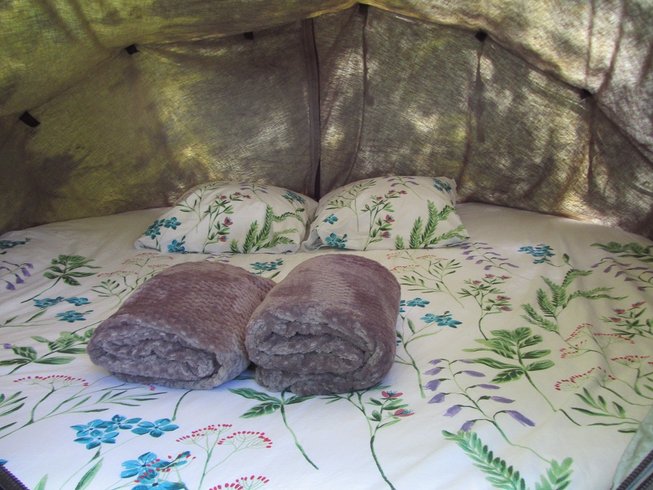 Hébergement AbracadaRoom : La Tente Bulle perchée - Image 3