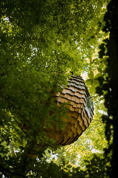 Hébergement AbracadaRoom : Lov'nid Spa Promesse - Image 4