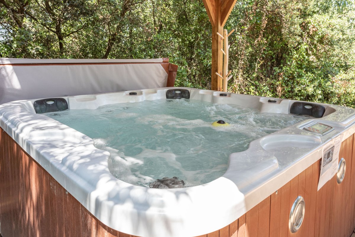 Le Diamant à Maureillas-Las-Illas (16)