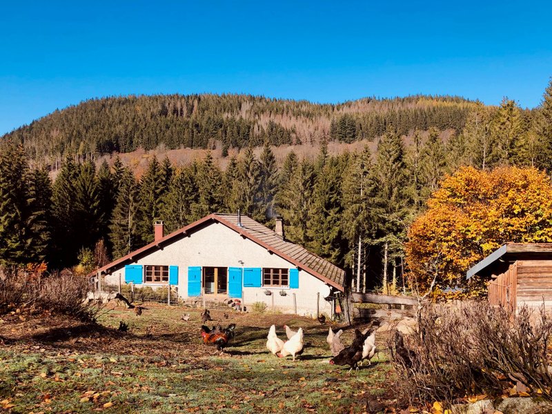 Domaine AbracadaRoom : Ferme Jean des Houx - Image 13