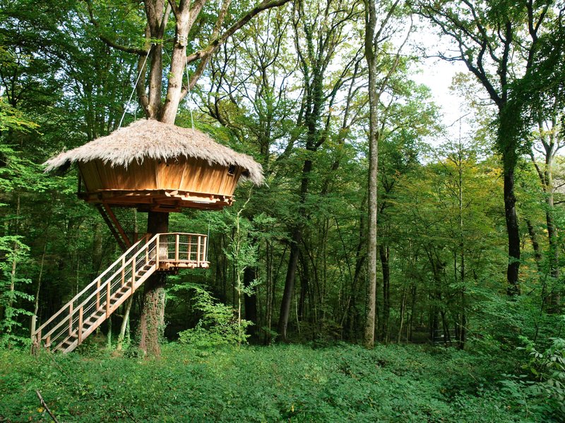 Domaine AbracadaRoom : L'Arbre à Cabane - Image 3