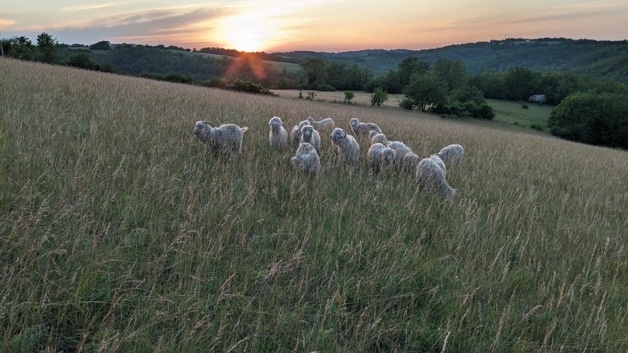 Domaine AbracadaRoom : Horizon Mohair - Image 5