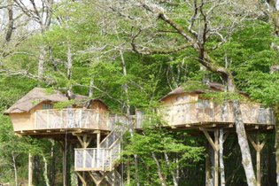 Cabane dans les Arbres n°2 - 4 personnes