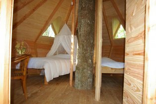 Treehouse Vienne