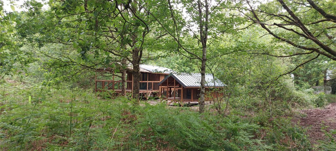 Hébergement AbracadaRoom : Cabane Maupiti - Image 2