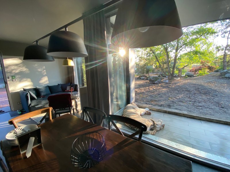 Domaine AbracadaRoom : Zoo de Bordeaux Pessac - Night expérience - Image 1