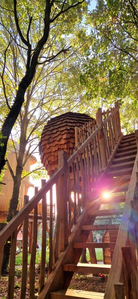 Hébergement AbracadaRoom : La Tête dans les étoiles - Image 32