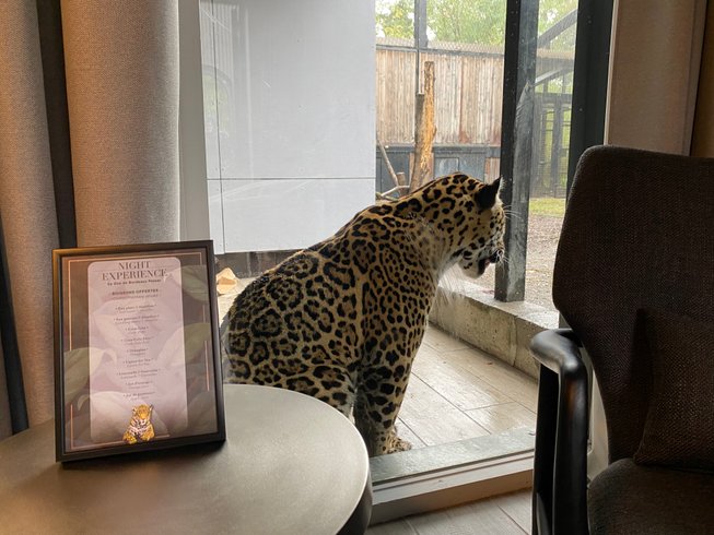 Hébergement AbracadaRoom : Lodge Jaguars & Spa & Dîner - Accès au zoo - Image 15