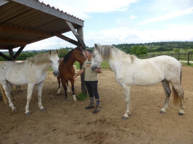 Domaine AbracadaRoom : La Noalha Insolit' - Image 10