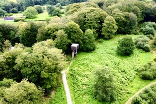 Cabane Spa dans les arbres