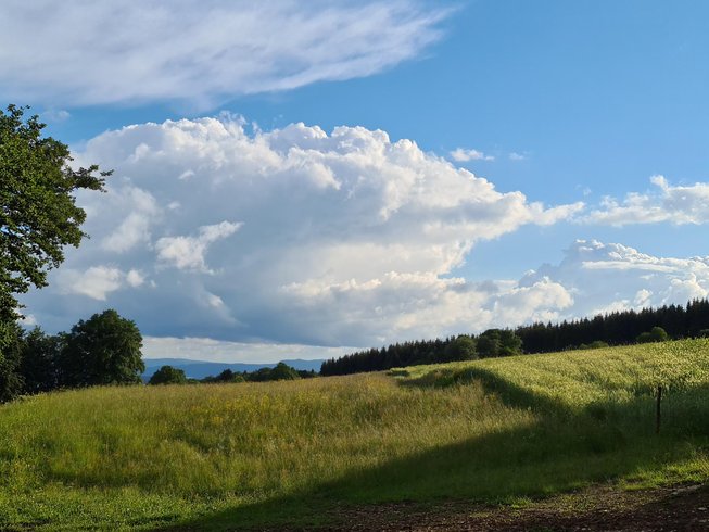 Domaine AbracadaRoom : La Larmontine - Image 4