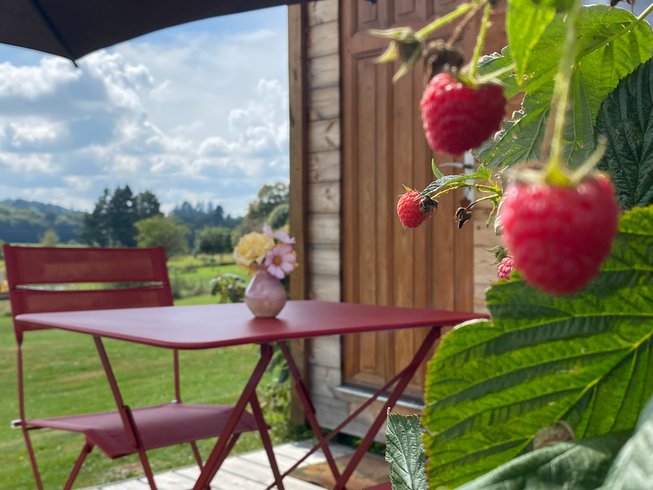 Hébergement AbracadaRoom : Roulotte 360°nature - Image 13