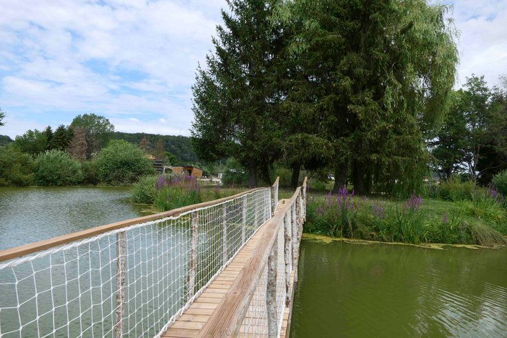 Hébergement AbracadaRoom : Cabane Le forestier - Image 23