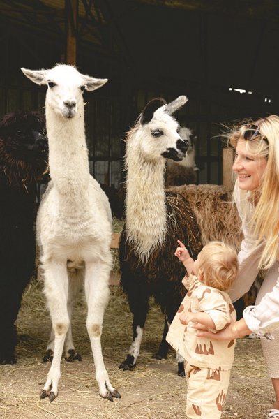 Domaine AbracadaRoom : Parcel Tiny House - à 5 min du Zoo de Beauval - Image 23