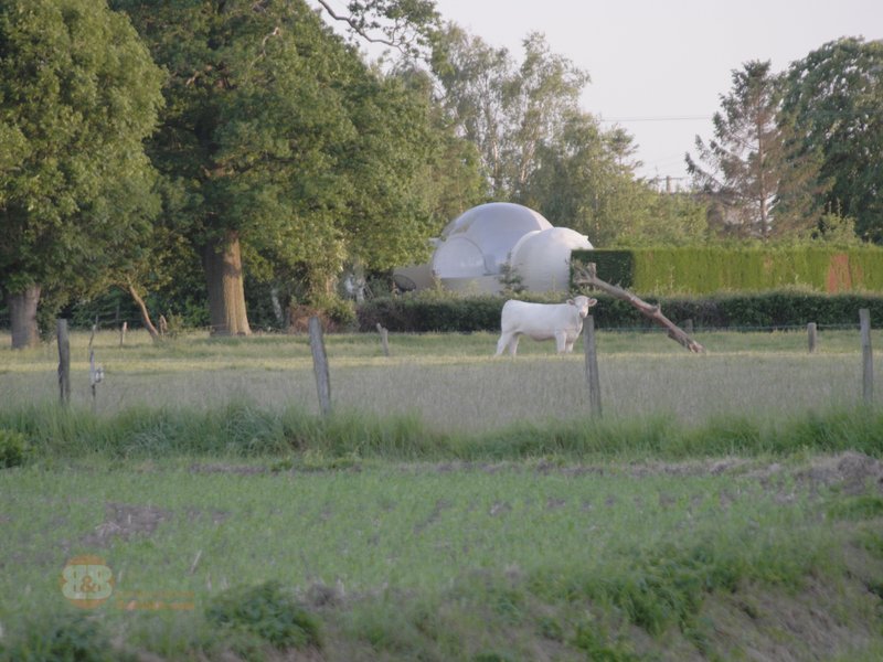 Hébergement AbracadaRoom : Bulle Vénus avec planche dînatoire et petit-déjeuner - Image 9