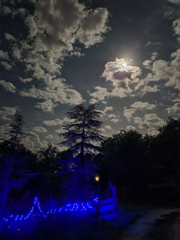 Hébergement AbracadaRoom : La Chaumière magique des Elfes et son escape game - Image 52