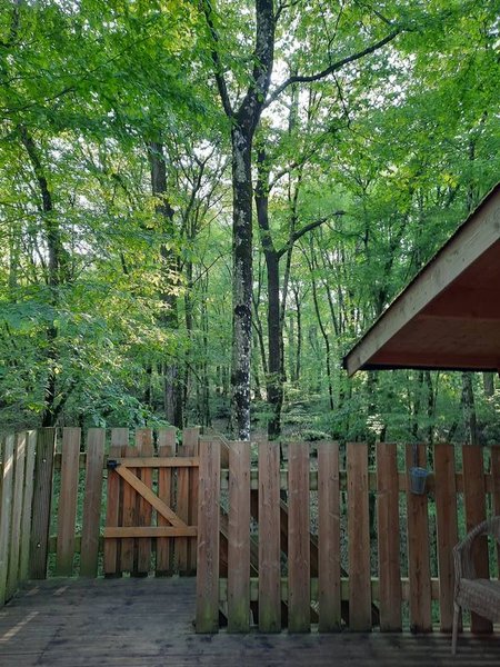 Hébergement AbracadaRoom : Cabane de l'Augis Nature - Image 4