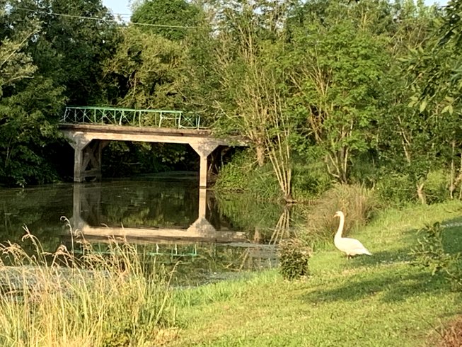 Domaine AbracadaRoom : Roulotte de charme - Marais Poitevin - Image 14