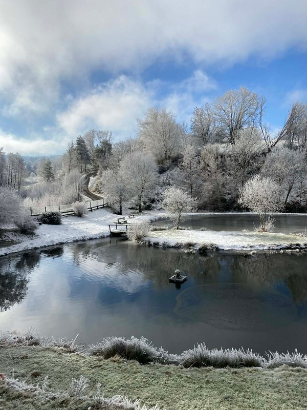 La cabane "Nid secret" & Spa à Siaugues-Sainte-Marie (10)