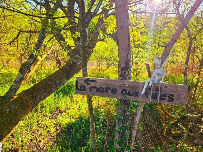 Hébergement AbracadaRoom : La Cabane du Héron, lodge sur pilotis, étang, nature, biodiversité - Image 35