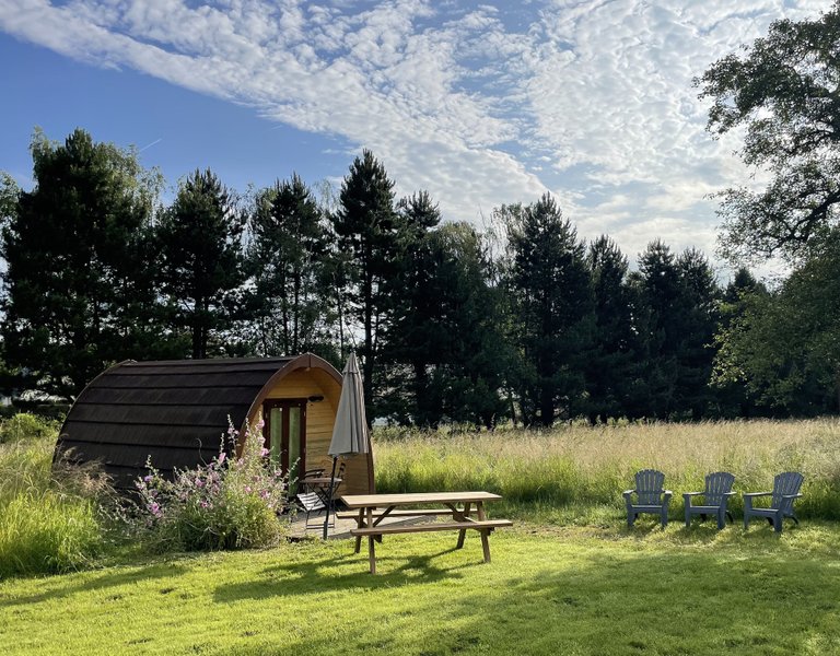 Hébergement AbracadaRoom : Cabane Forestière - Image 2