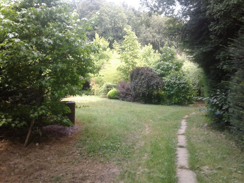 Domaine AbracadaRoom : Graine d'insolite - Image 7