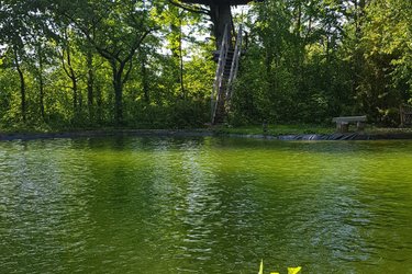 La cabane Au fil de l'Eau & Spa à Wail (3)
