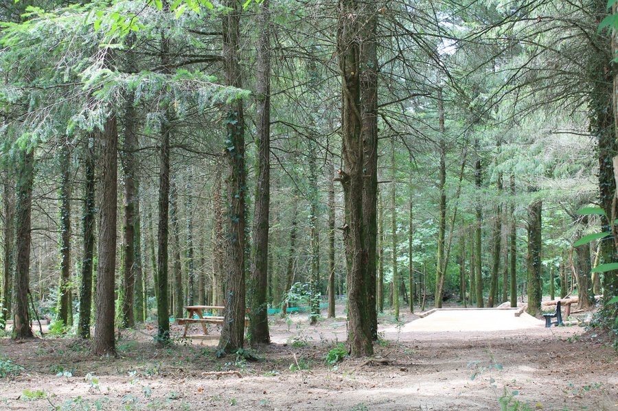 Domaine AbracadaRoom : L'Etoile Perchée - Image 11