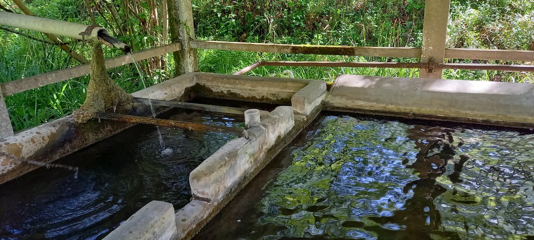 Domaine AbracadaRoom : Ma pause nature - Image 19