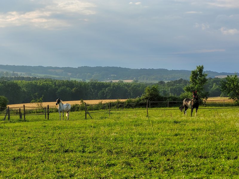 Hébergement AbracadaRoom : Tiny House Lumen & son bain bordelais - Image 31