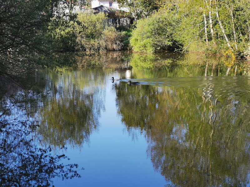 Domaine AbracadaRoom : La Noé verte - Image 1