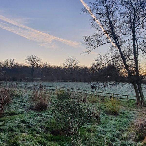 Hébergement AbracadaRoom : Tiny House Morvan, en pleine nature à  2h de Paris - Image 17