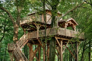 Cabane dans les arbres Territoire de Belfort