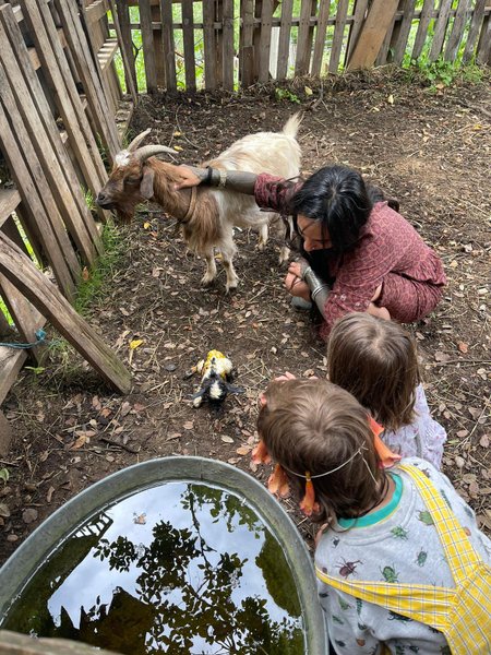 Domaine AbracadaRoom : La mauvaise herbe - Image 3