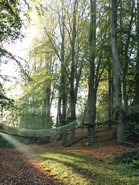 Domaine AbracadaRoom : Woody  Park - Image 2