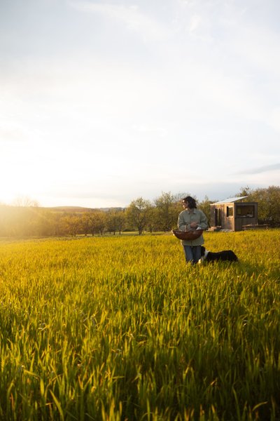 Domaine AbracadaRoom : Parcel Tiny House - dans un verger en Lorraine - Image 14