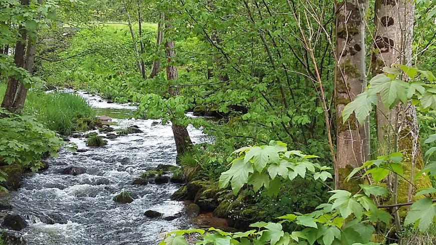 Domaine AbracadaRoom : Le Rêve de Charles - Image 6